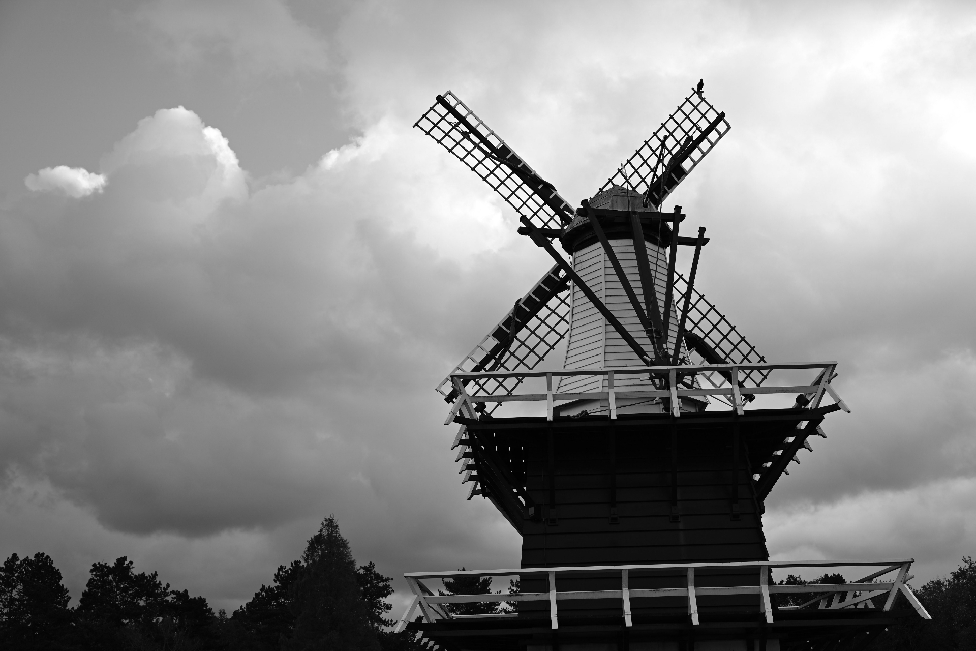 Black and white film photograph evoking stillness and ease of movement